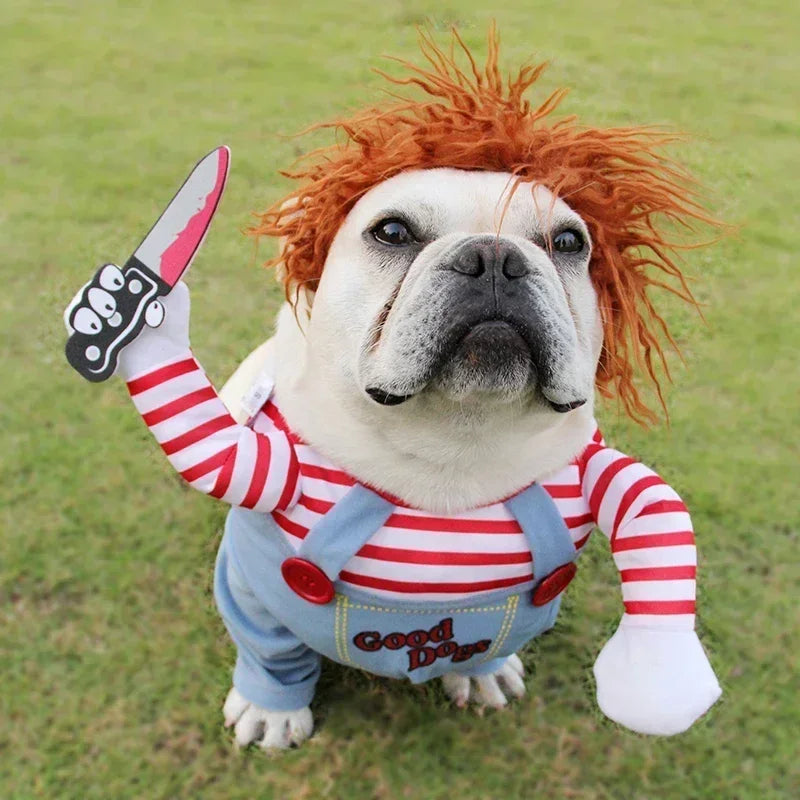 Costume Killer per cani e gatti πΆππͺ