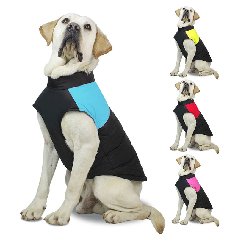Cappotto impermeabile per cani gatti- Gilet impermeabile caldo autunno inverno per animali