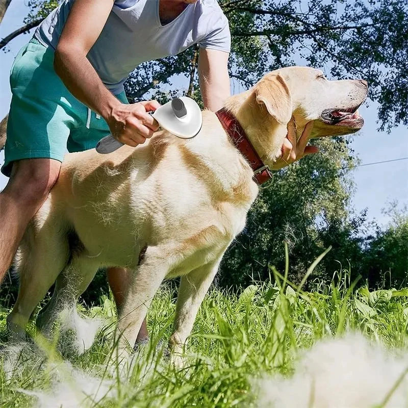 Spazzola per toelettatura animali, Pettine Autopulente per la Rimozione del Pelo cani, gatti, conigli
