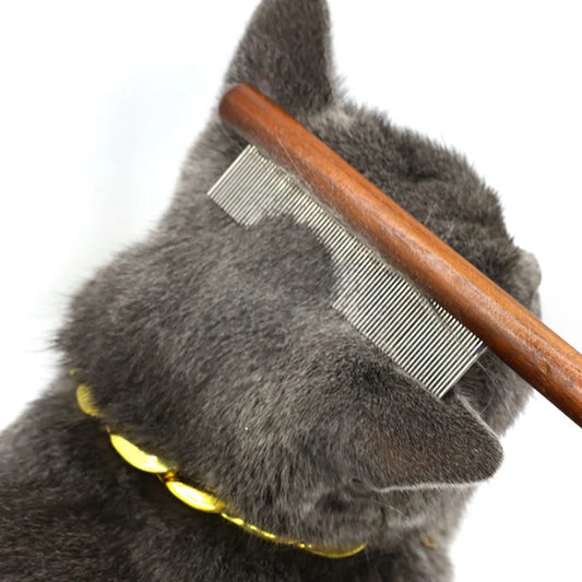 Spazzola multiuso per Animali Domestici: Comfort e Cura in Ogni Passata!! ๐ถ๐ฑ๐ฐ