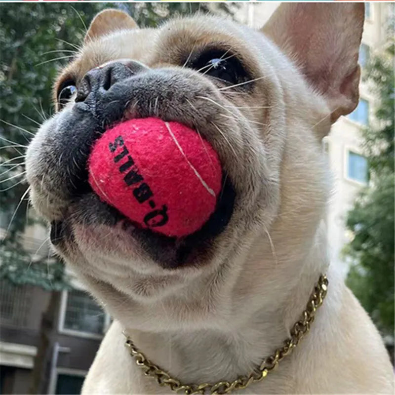 Palline da Gioco per Cani con squezze in Gomma Naturale 4 unità