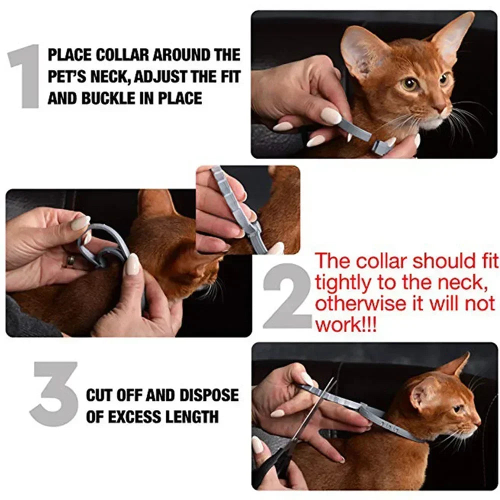 Collare Protettivo Anti-Pulci, Zecche e zanzare: 8 Mesi di Difesa per il Tuo Pet! 🐶🐱✨
