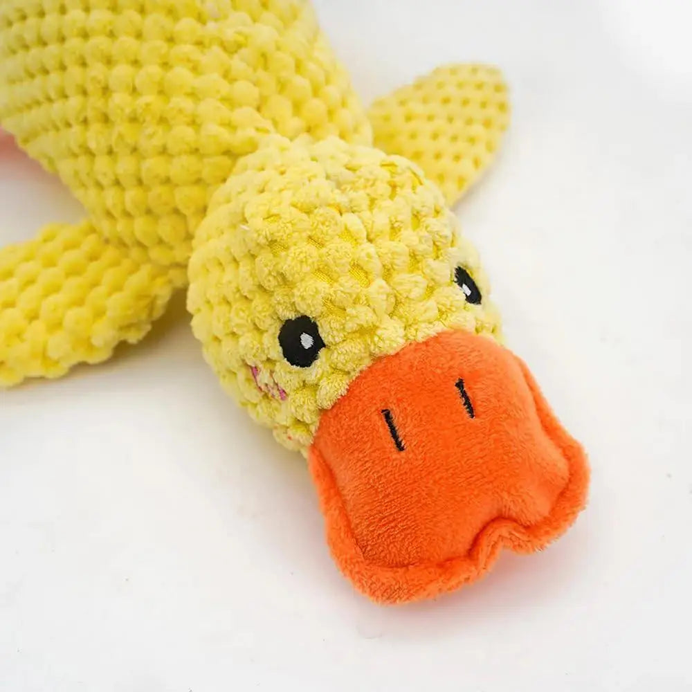 Papera Giocattolo con suono Papera Quack