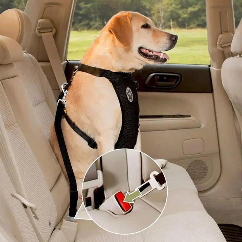 Pettorina con Cintura di Sicurezza per Auto per Cani