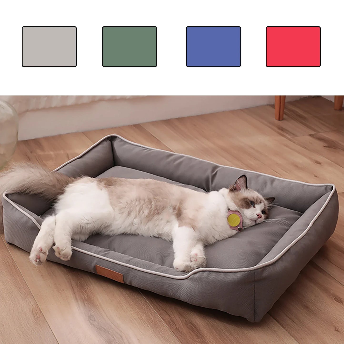 Kit Benvenuto basico 🎁 🐾