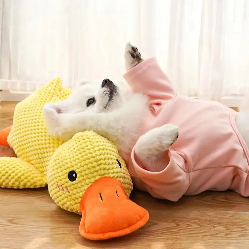 Papera Giocattolo con suono Papera Quack