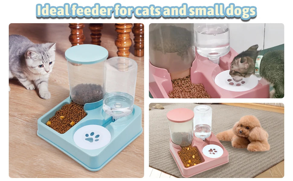 Sistema Automatico 2-in-1 per Cibo e Acqua: Pratico e Innovativo per il Tuo Gatto! 💧