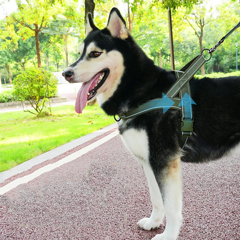 Nuova Pettorina Tattica per Cani in Nylon per Cani di Taglia Media e Grande con Guinzaglio A7