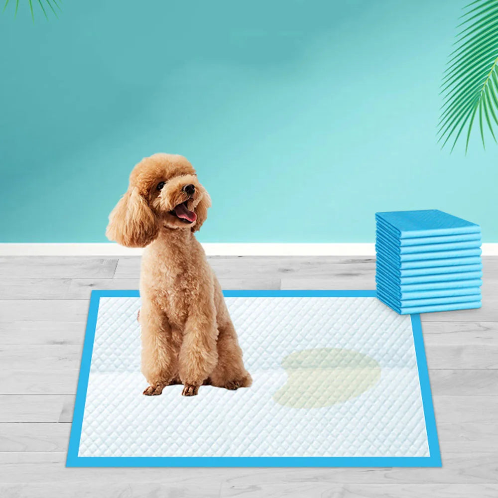 Kit Benvenuto basico 🎁 🐾