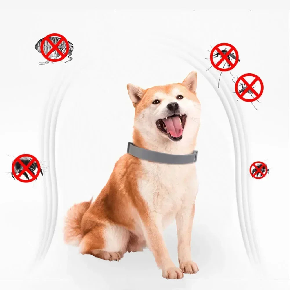 Collare Protettivo Anti-Pulci, Zecche e zanzare: 8 Mesi di Difesa per il Tuo Pet! 🐶🐱✨