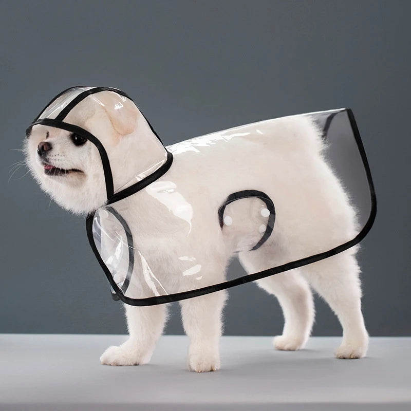 Impermeabile Antivento Trasparente per Cani e Gatti πΆβ