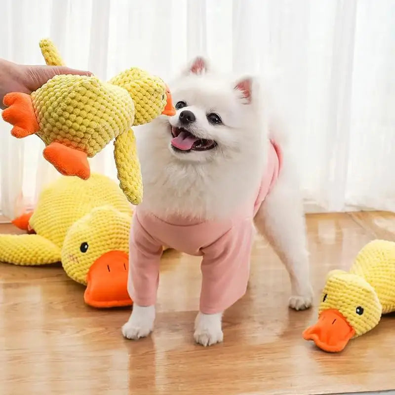 Papera Giocattolo con suono Papera Quack