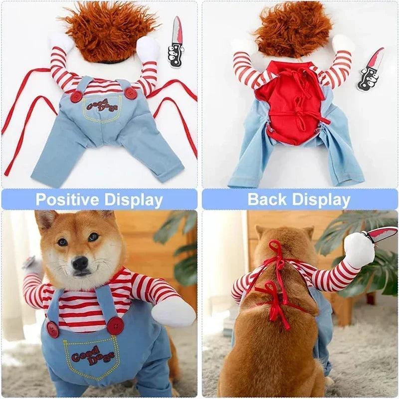 Costume Killer per cani e gatti πΆππͺ