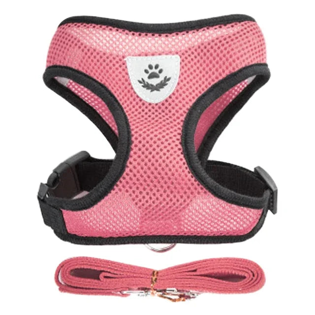 Pettorina con Guinzaglio per Cani e gatti di Piccola Taglia πΎ
