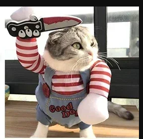 Costume Killer per cani e gatti 🐶🎃🔪
