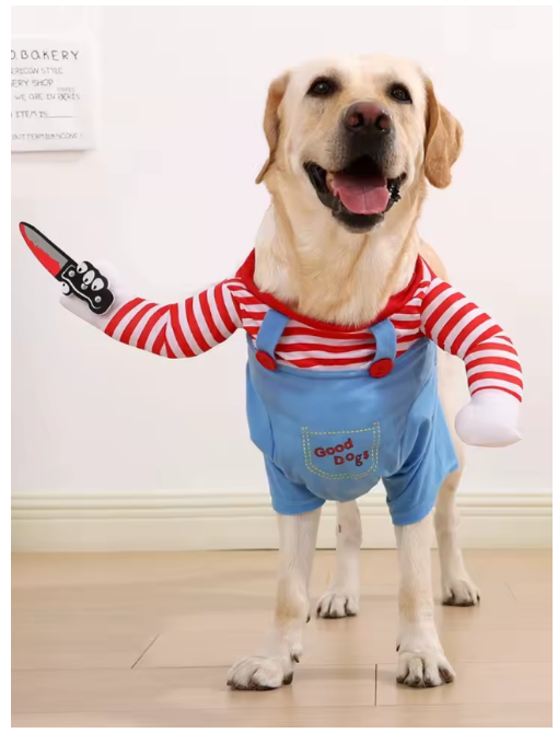 Costume Killer per cani e gatti πΆππͺ