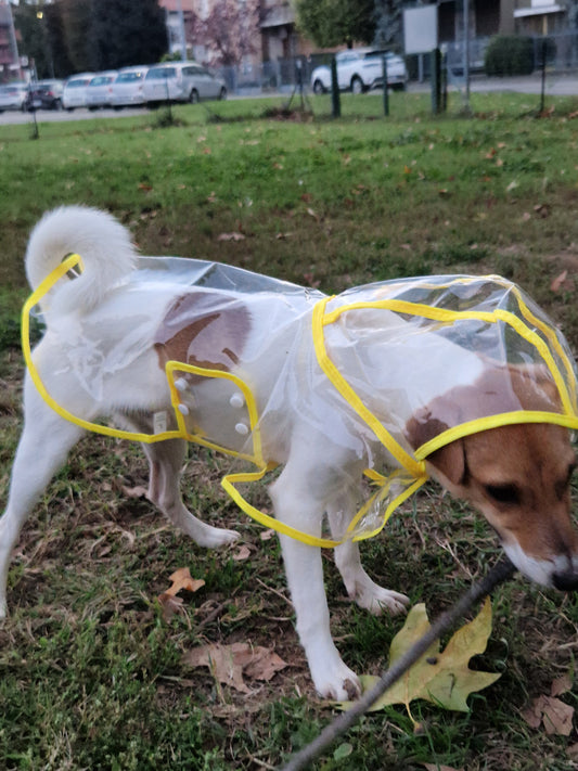 Impermeabile Antivento Trasparente per Cani e Gatti 🐶☔