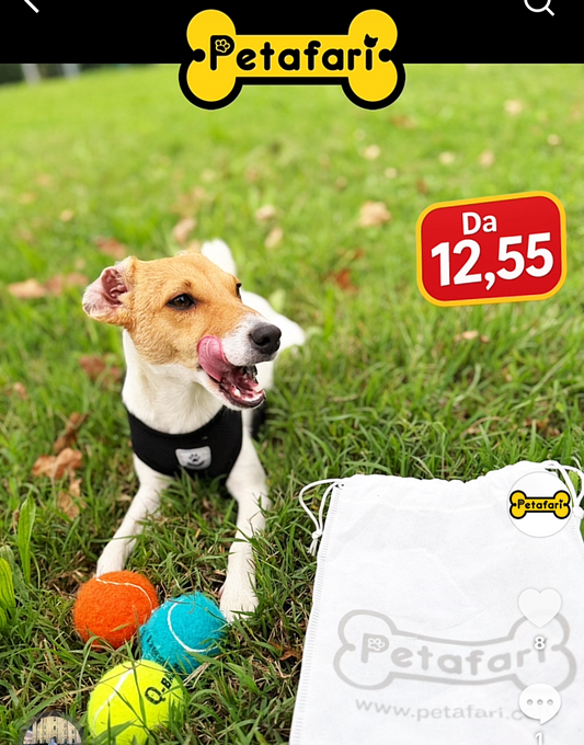 Palline da Gioco per Cani con suono in Gomma Naturale 4 unità, mordicchiabili e rimbalzanti  🏀