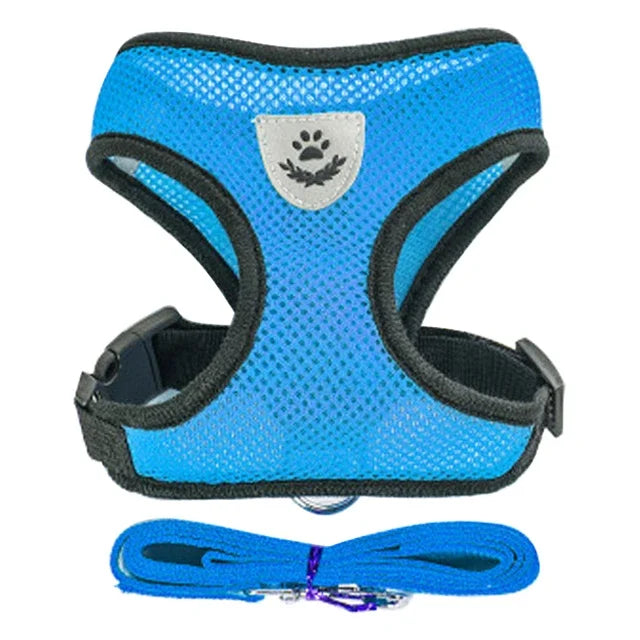 Pettorina con Guinzaglio per Cani e gatti di Piccola Taglia 🐾