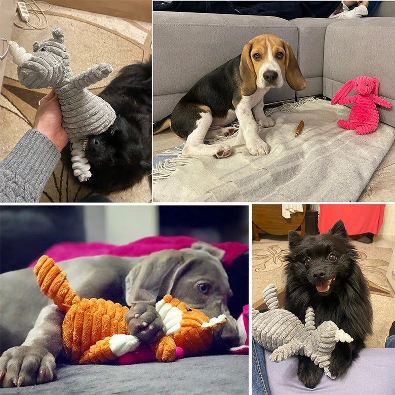 Giocattolo da masticare per cani in peluche, resistente all'usura e con squeak