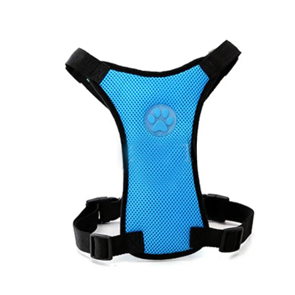 Dog Harness and Leash with Car Seat Belt