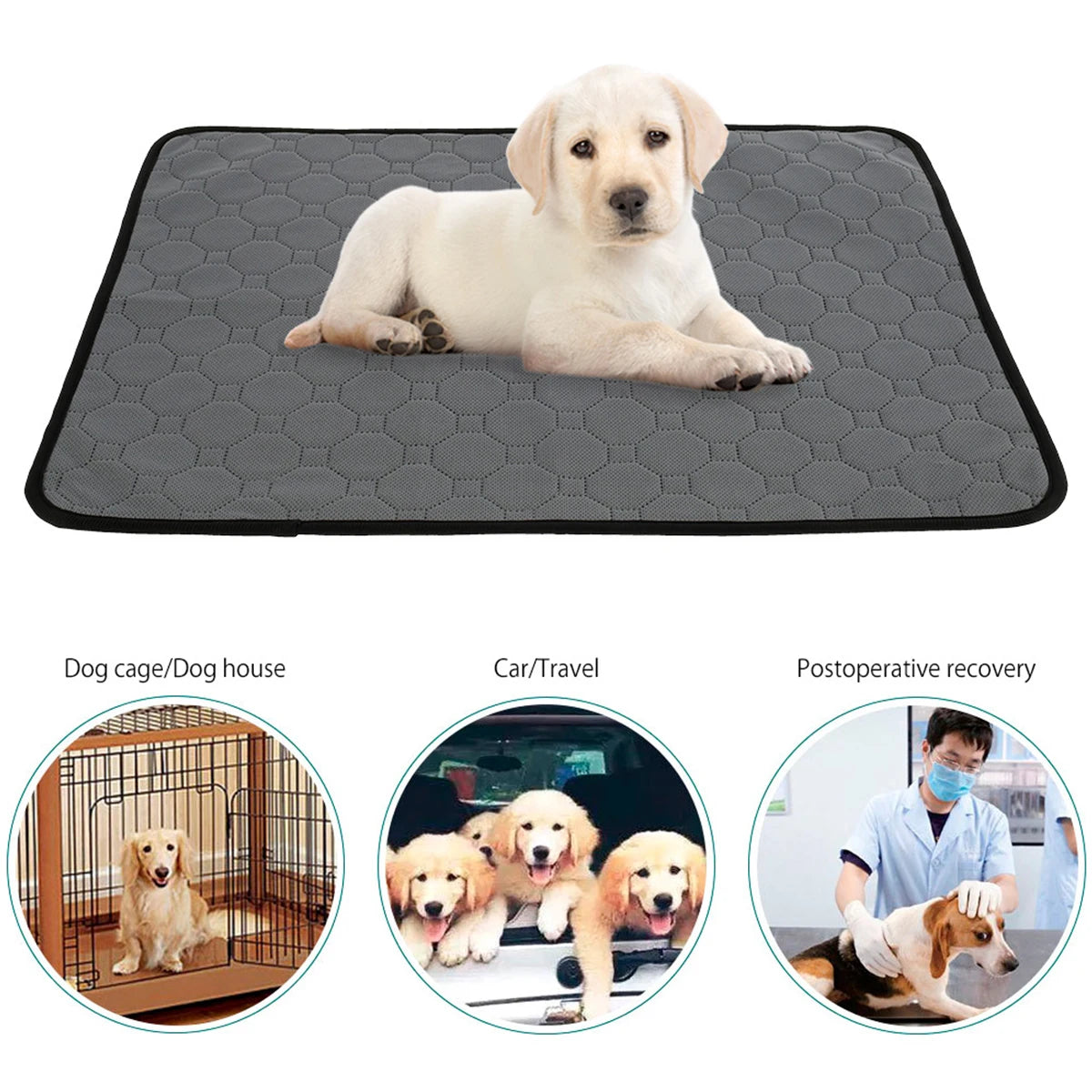 Tappeto traversina lavabile per Animali – Assorbente, Impermeabile e Riutilizzabile! 🐾
