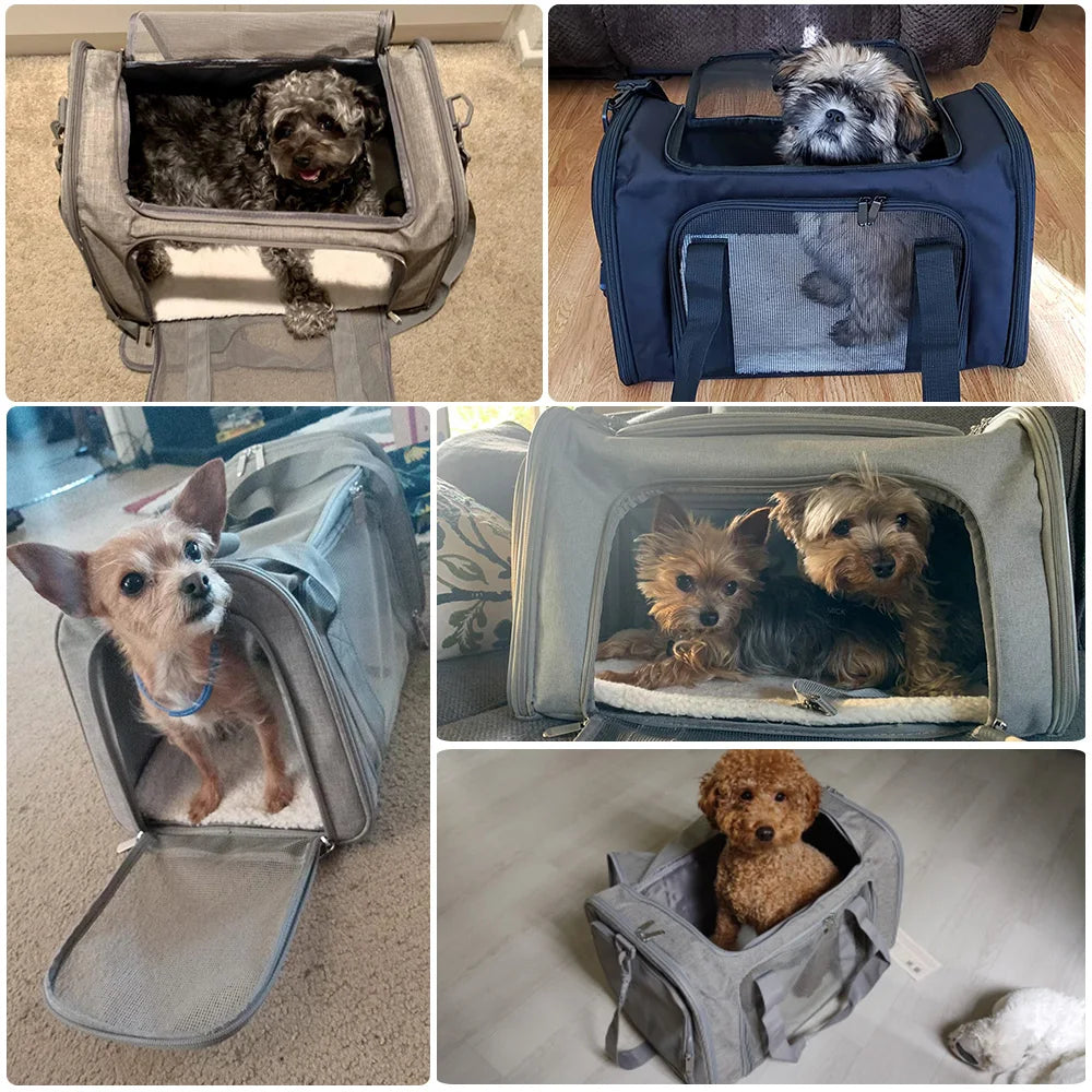 Soft Pet Carrier Bag for Dogs and Cats - Travel in Style and Comfort! side backpack